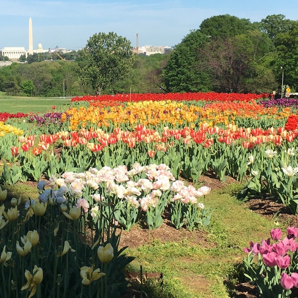 Meet your Posher, Brie - Picture 1 of 1